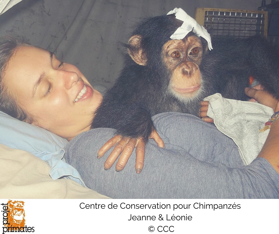 Interview De Jeanne Maman De Substitution De Leonie Projet Primates